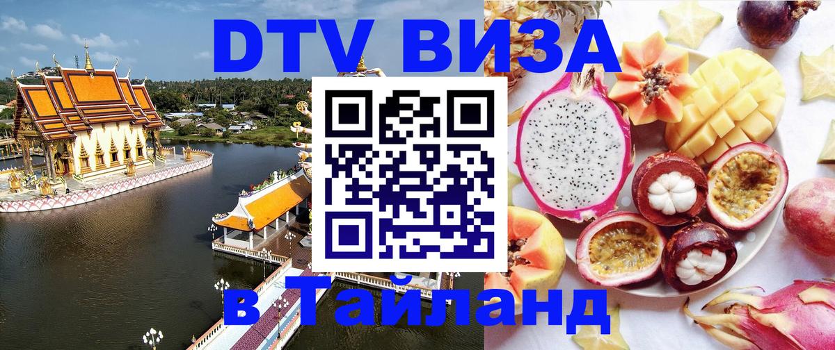 Оформление DTV визы под ключ: стоимость и тарифы, только загранпаспорт - 20.11.2025 